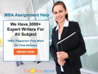 MBA Assignment Help UK by PhD Expert Services image 4